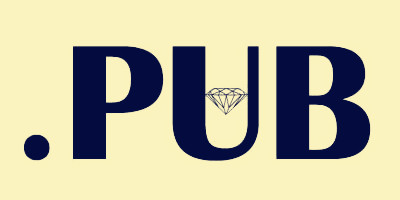pub域名