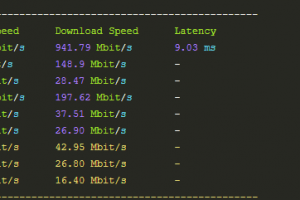 RAKsmart L5630上传下载速度