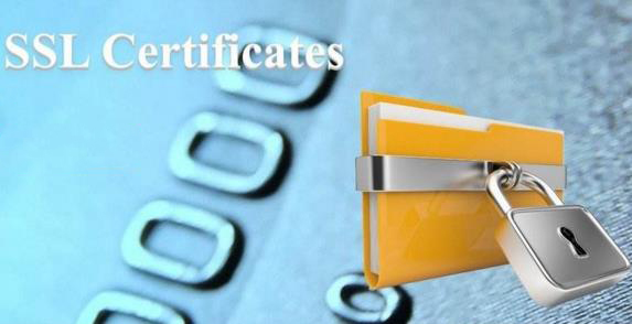 RapidSSL证书的类型及优势