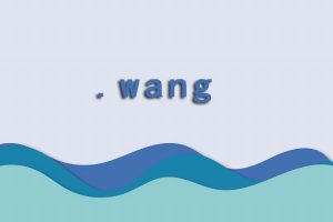 wang域名注册