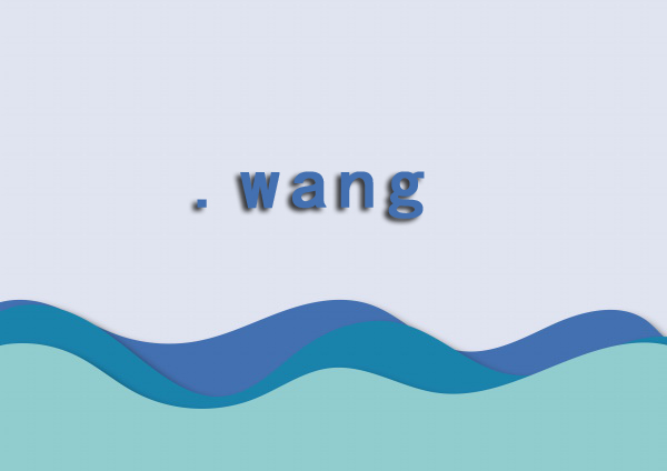 wang域名注册