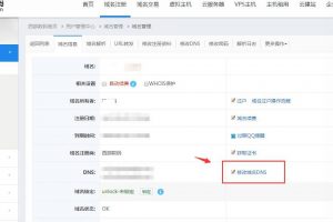 西部数码DNS设置位置