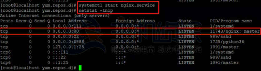 查看nginx端口监听