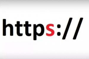 GeoTrust DV SSL证书