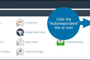 HostEase主机cPanel面板创建电子邮件自动回复教程