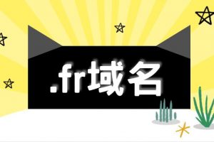 fr域名