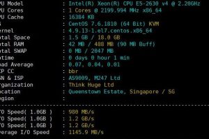 OneVPS新加坡硬件测试