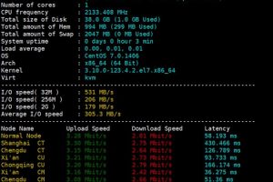 RAKsmart香港VPS评测
