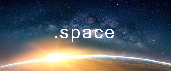 space域名注册