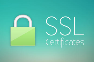 SSL证书选购指南