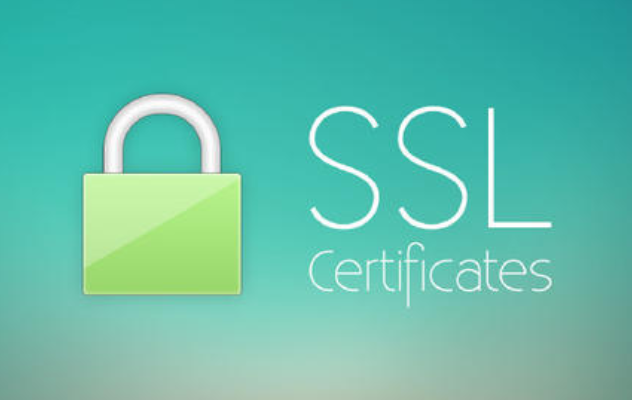 SSL证书选购指南