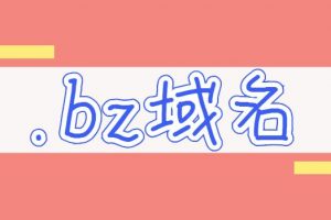 bz域名