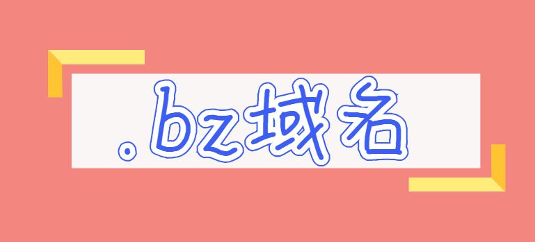 bz域名
