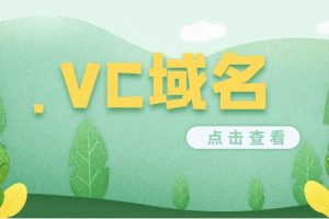 vc域名