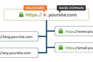 Globalsign OV通配符SSL证书