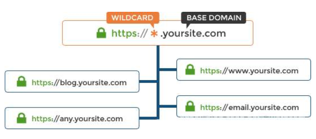 Globalsign OV通配符SSL证书
