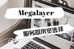 megalayer服务器带宽选择