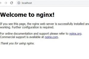 Nginx Windows安装教程