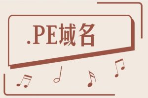 pe域名