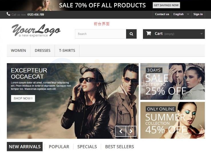 安装后前台界面