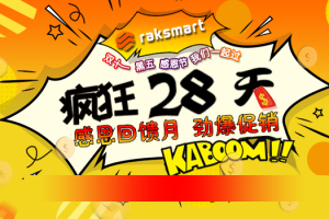 RAKsmart美国服务器双十一活动