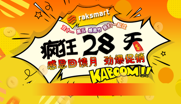 RAKsmart美国服务器双十一活动
