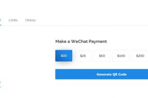 Vultr VPS支付方式