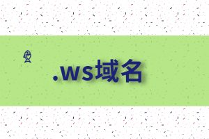 ws 域名