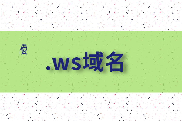 ws 域名