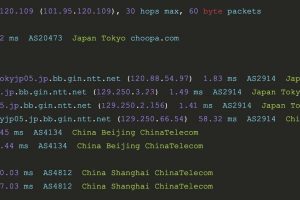 Vultr日本机房到上海电信的路由