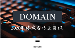 域名行业简报