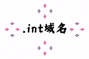 int域名