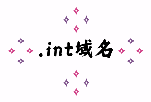 int域名