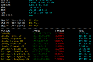 美国主机商IOZoom VPS硬件测试