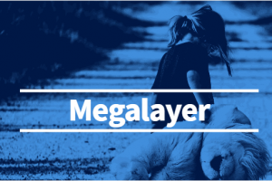megalayer美国服务器