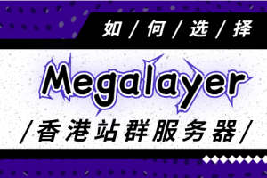 megalayer香港站群服务器