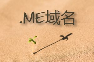 me域名