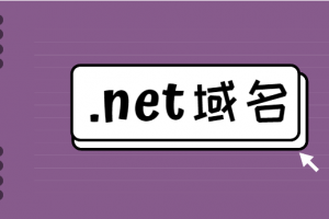 net域名