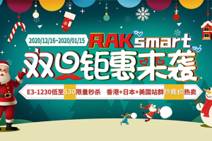 RAKsmart美国服务器双旦活动