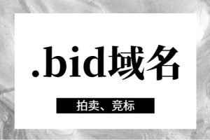 bid域名