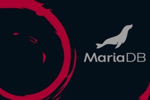 Debian安装MariaDB