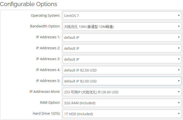 RAKsmart香港站群服务器
