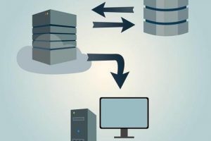 virmach服务器带宽