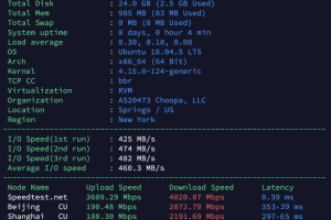 国巴黎机房速度