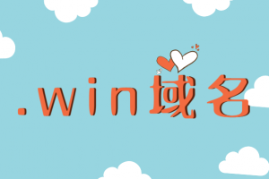 win域名