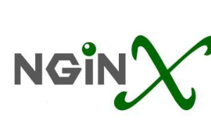 Nginx使用多域名SSL证书配置域名的教程