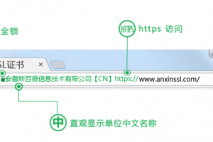 Symantec EV SSL证书浏览器展示效果
