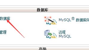 MySQL数据库