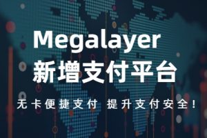 megalayer新增支付平台