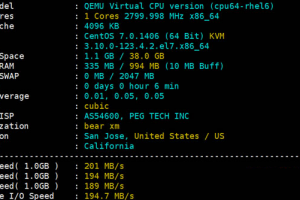 RAKsmart日本VPS性能